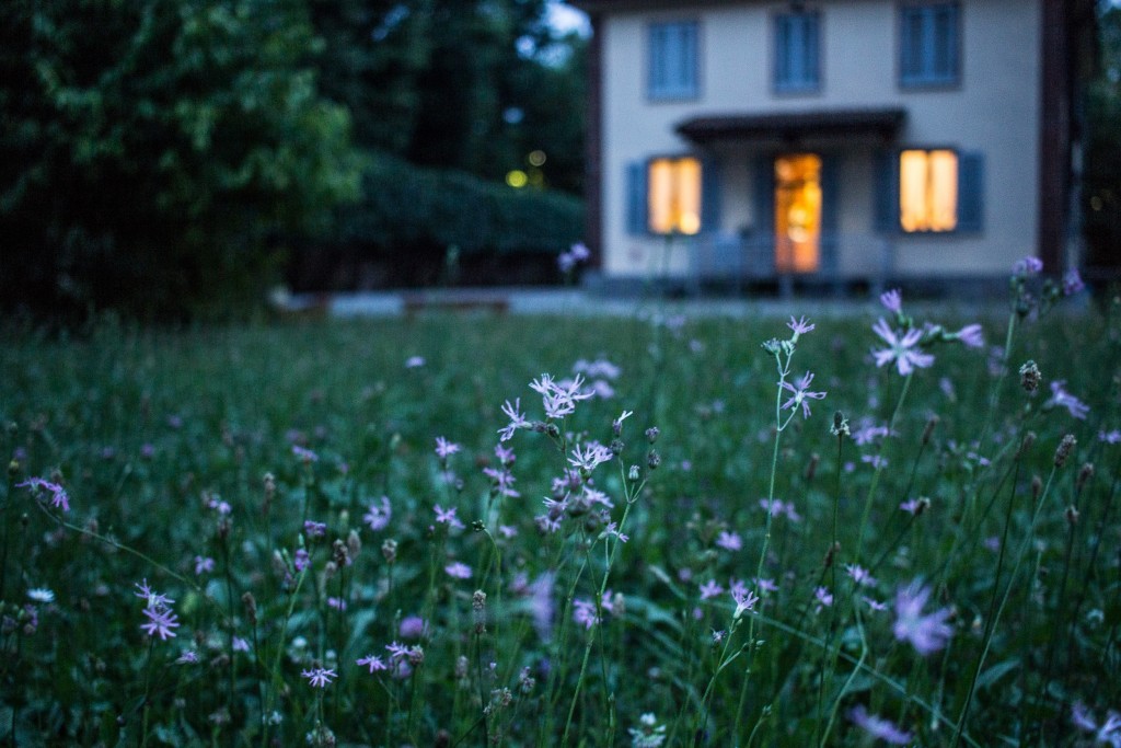 yard