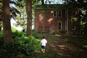 pest control buford ga