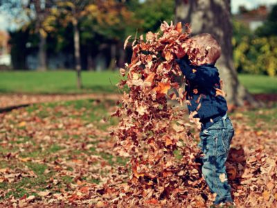 pest control sandy springs ga